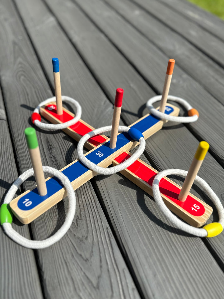 Mėtymo ir taiklumo žaidimas "5 ŽIEDAI"