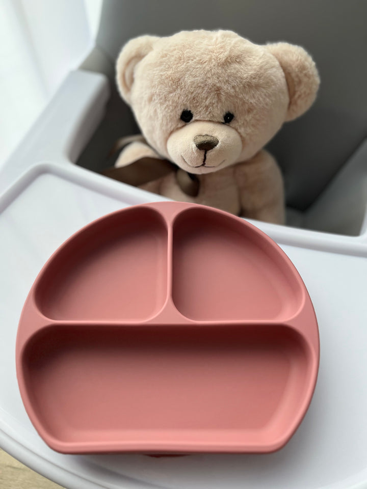 Silikoninė lėkštė su dangteliu PINKY